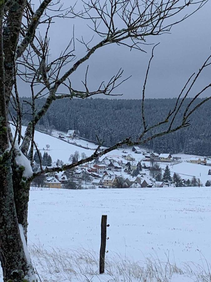 Berghaus Carlsfeld Villa Eibenstock Exteriör bild