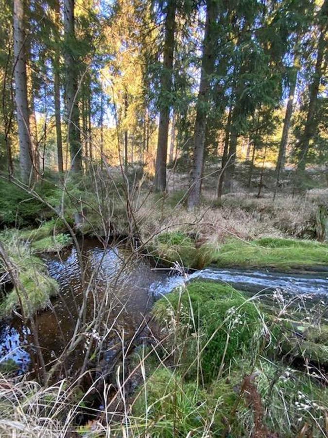Berghaus Carlsfeld Villa Eibenstock Exteriör bild