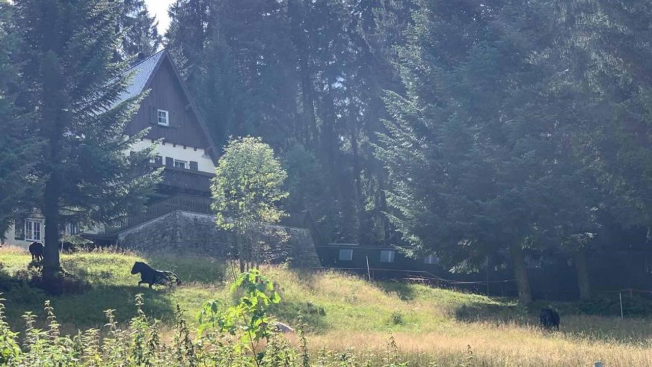Berghaus Carlsfeld Villa Eibenstock Exteriör bild